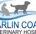 Marlin Coast Veterinary Hospital - Gold Coast Vets
