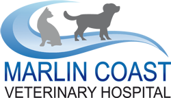 Marlin Coast Veterinary Hospital - Gold Coast Vets 0