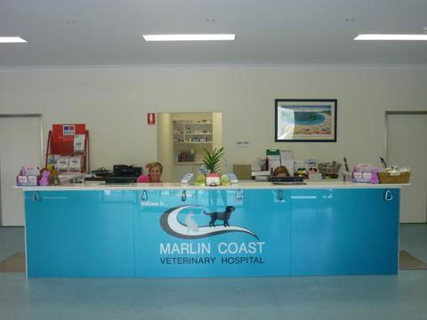 Marlin Coast Veterinary Hospital - Gold Coast Vets 3