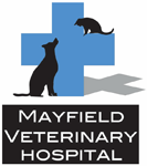 Mayfield Veterinary Hospital - Gold Coast Vets 0