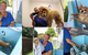 Mayfield Veterinary Hospital - thumb 3