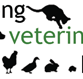 Mittagong Veterinary Hospital - Gold Coast Vets