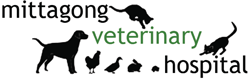 Mittagong Veterinary Hospital - Gold Coast Vets 0