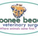 Moonee Beach Veterinary Surgery - Gold Coast Vets
