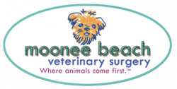 Moonee Beach Veterinary Surgery - Gold Coast Vets 0