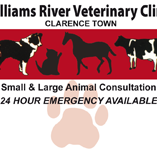 Morpeth Veterinary Hospital - Gold Coast Vets