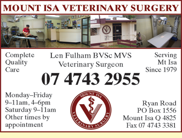 Mount Isa Veterinary Surgery - Gold Coast Vets 4