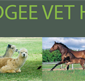 Mudgee Veterinary Hospital - Gold Coast Vets