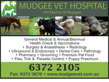 Mudgee Veterinary Hospital - Gold Coast Vets 1