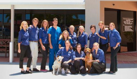 Nicklin Way Veterinary Surgery - Gold Coast Vets 1
