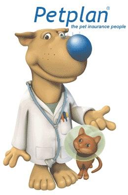 Nicklin Way Veterinary Surgery - Gold Coast Vets 3