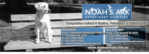 Noah's Ark Veterinary Services - Gold Coast Vets 1