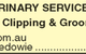 Noah's Ark Veterinary Services - thumb 2