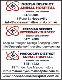 Noosa District Animal Hospital - Gold Coast Vets 1