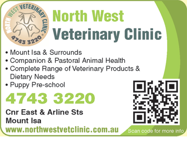 North West Veterinary Clinic - Gold Coast Vets 6