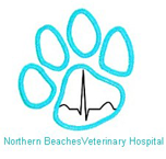 Northern Beaches Veterinary Hospital - Gold Coast Vets