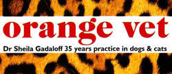 Orange Vet - Gold Coast Vets 0