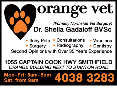 Orange Vet - Gold Coast Vets 4