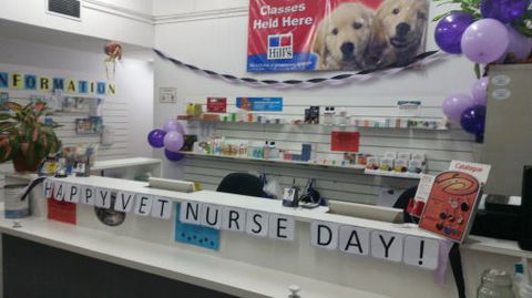Parap Veterinary Hospital - Gold Coast Vets 1