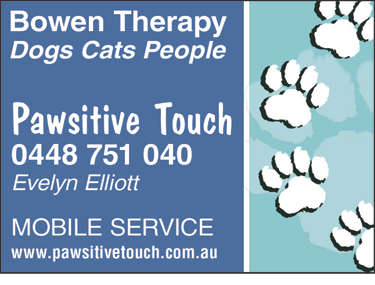 Pawsitive Touch - Gold Coast Vets 1