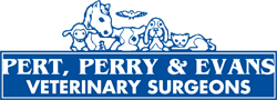 Pert, Perry & Evans Veterinary Surgeons - Gold Coast Vets 0