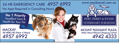 Pert, Perry & Evans Veterinary Surgeons - Gold Coast Vets 1