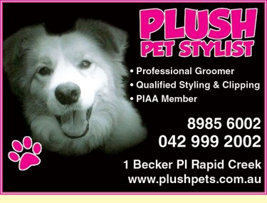 Plush Pet Stylist - Gold Coast Vets 4