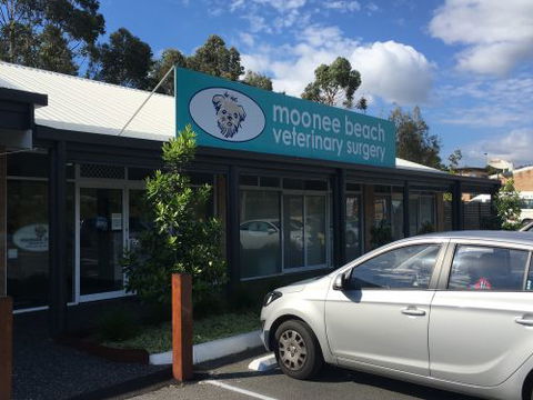 Moonee Beach Veterinary Surgery - Gold Coast Vets 2