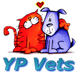 YP Vets - Gold Coast Vets 0