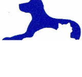 Dr Stephen Crouch Gawler South Small Animal Hospital - Gold Coast Vets