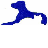 Dr Stephen Crouch, Gawler South Small Animal Hospital - Gold Coast Vets 0