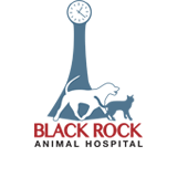 Black Rock Animal Hospital - Gold Coast Vets 0