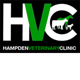 Hampden Veterinary Clinic - Gold Coast Vets