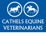 Cathels Equine Veterinarians - Gold Coast Vets