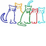 Just For Cats Vet Care & Grooming - Gold Coast Vets 0