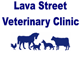 Lava Street Veterinary Clinic - Gold Coast Vets
