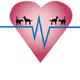 Highett Street Veterinary Hospital - Gold Coast Vets