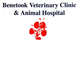 Benetook Veterinary Clinic - Gold Coast Vets