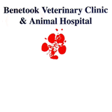 Benetook Veterinary Clinic - Gold Coast Vets 0