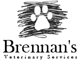 Brennan's Veterinary Services - Gold Coast Vets