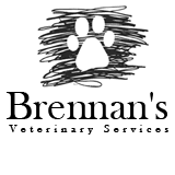 Brennan's Veterinary Services - Gold Coast Vets 0
