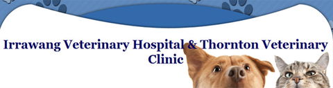 Irrawang Veterinary - Gold Coast Vets 0