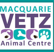 Macquarie Vetz Animal Centre - Gold Coast Vets