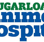 Sugarloaf Animal Hospital - Gold Coast Vets