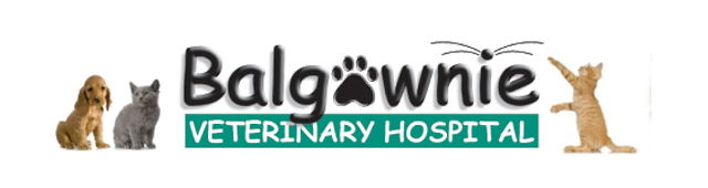 Mount Ousley NSW Gold Coast Vets