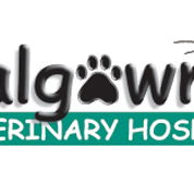 Balgownie Veterinary Hospital - Gold Coast Vets
