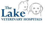 Lake Veterinary Hospitals - Gold Coast Vets