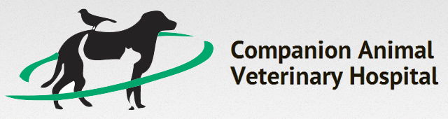 Koonawarra NSW Gold Coast Vets