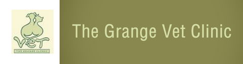 The Grange Vet Clinic - Gold Coast Vets 0
