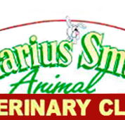 Marius Small Animal Veterinary Clinic - Gold Coast Vets